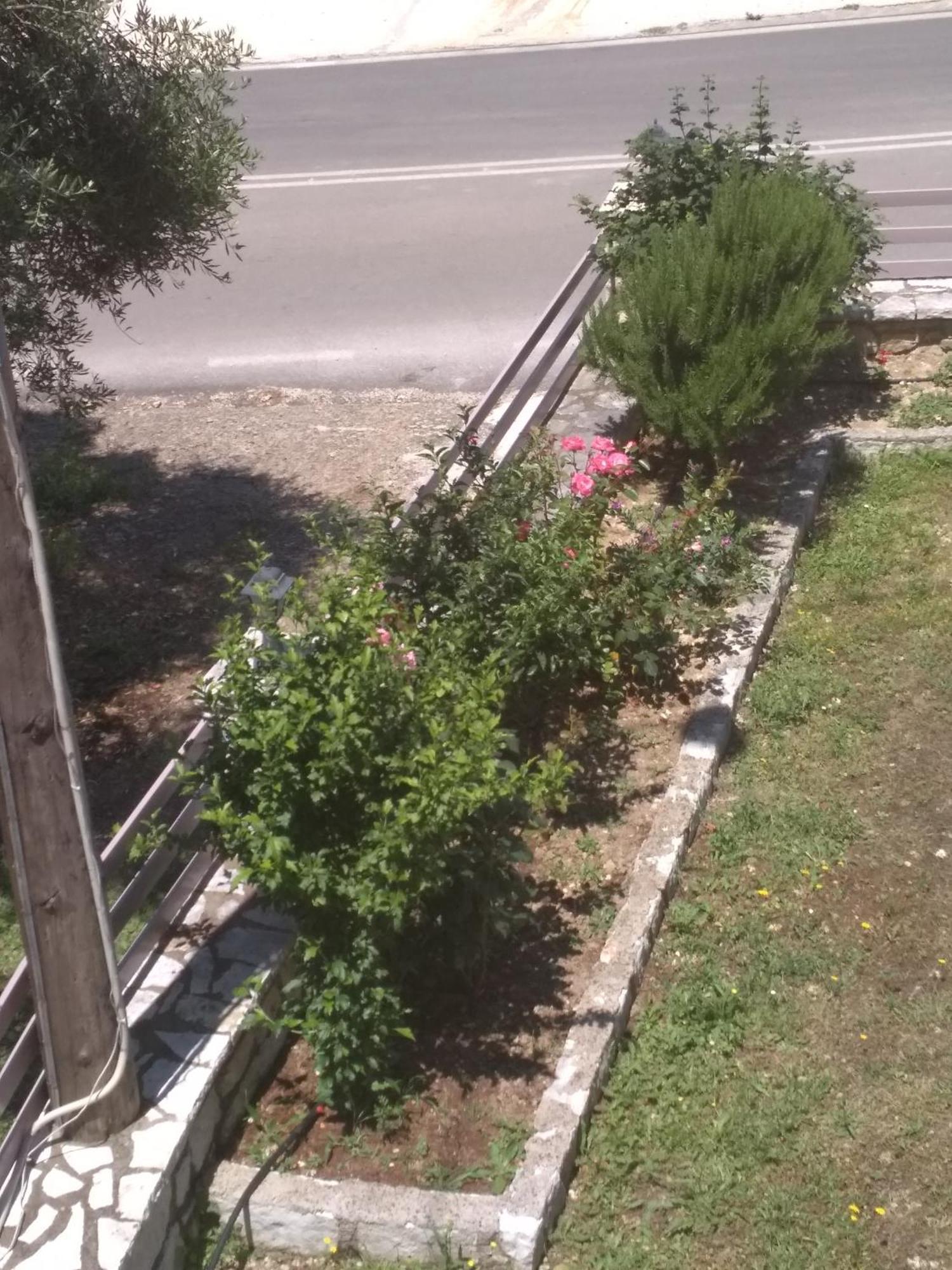 Stamatia Appartement